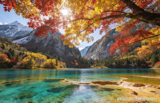 成都本地人强推！九寨沟、峨眉山、都江堰十大景点深度游攻略，避坑指南来了